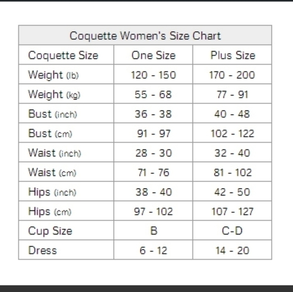 New Coquette Sexy Silver Diva Nightgown Negligee XL - Picture 14 of 14